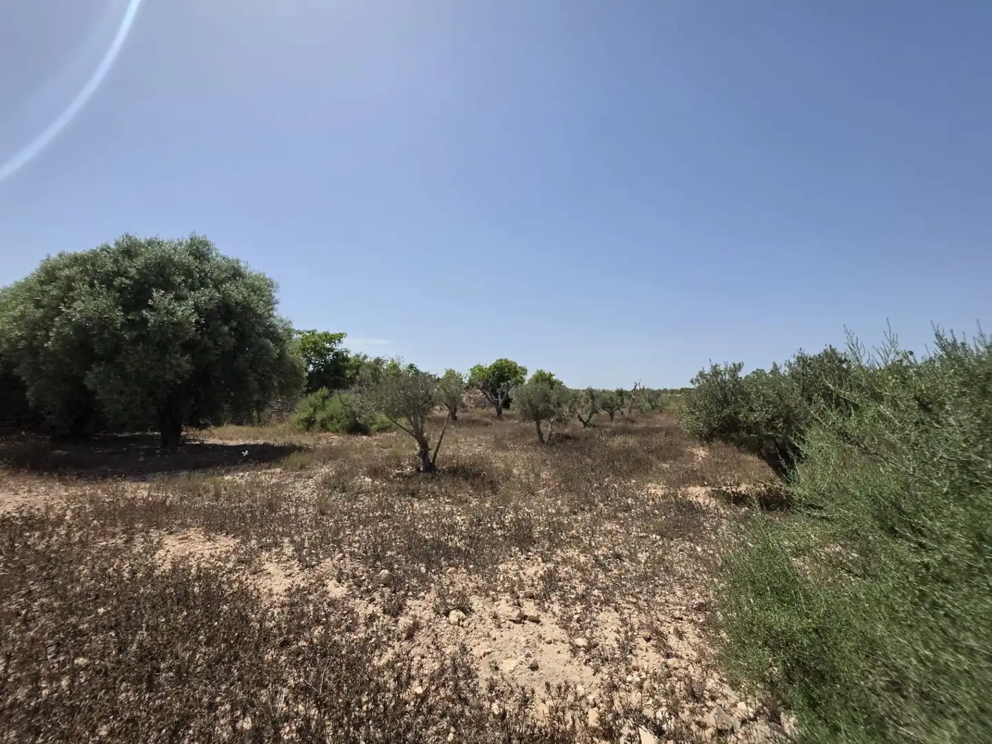Terrain rustique à vendre à El Altet, imagen 2