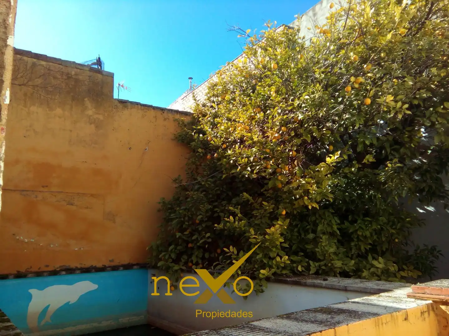 Casa o chalet en venta en Carmona con Jardín privado, Piscina y Balcón