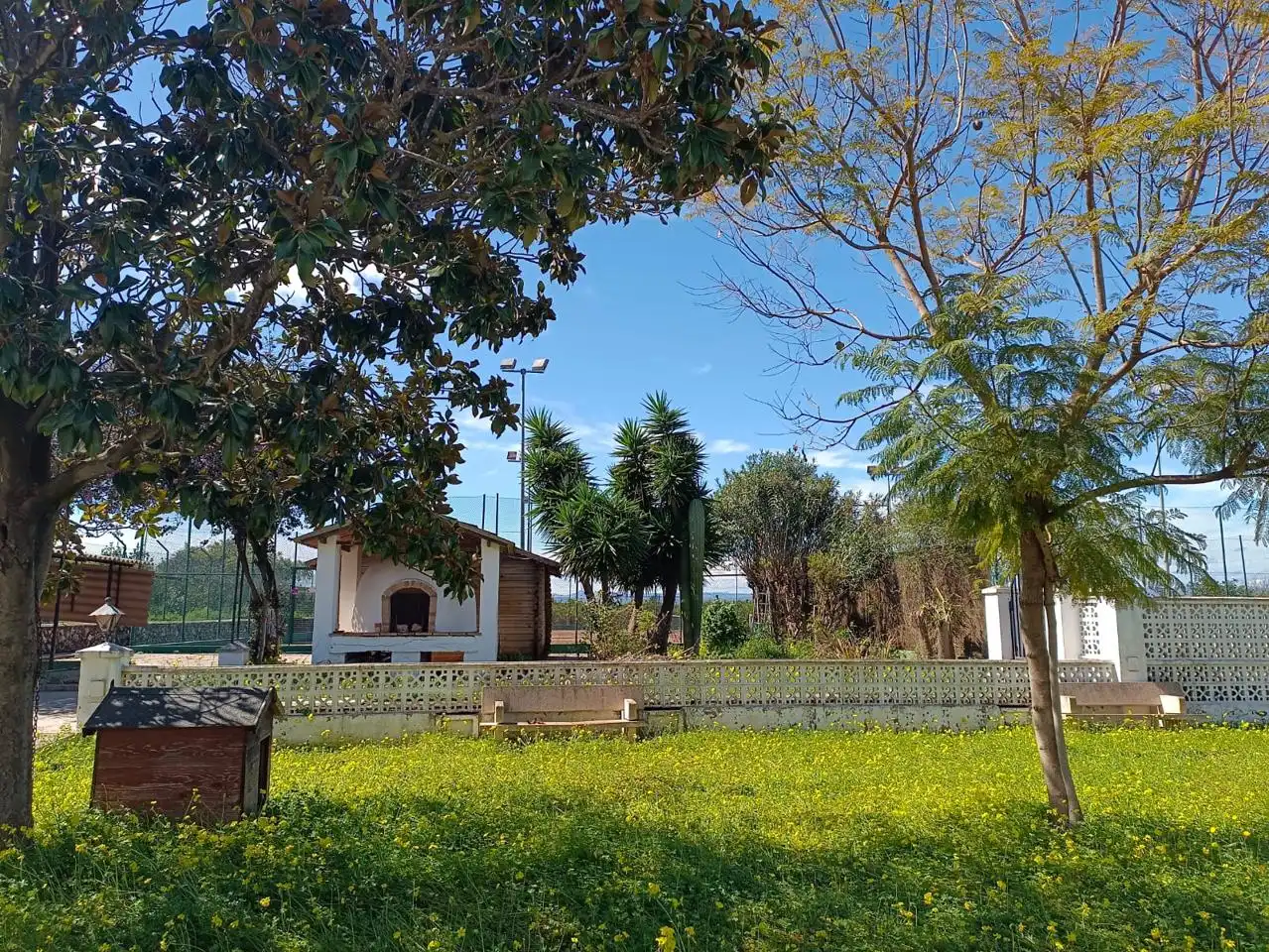 Jardín de Casa o chalet en venta en Benicull de Xúquer con Jardín privado, Terraza y Piscina