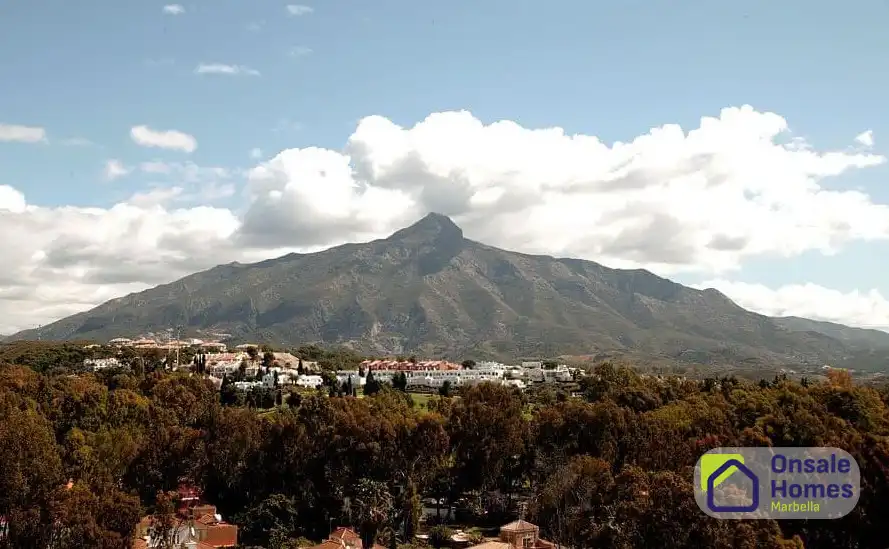 Apartament amb jardí en venda a Nueva Andalucía, imagen 39