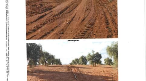 Photo 4 of Land for sale in N/a, -1, Pedanías de Badajoz, Badajoz