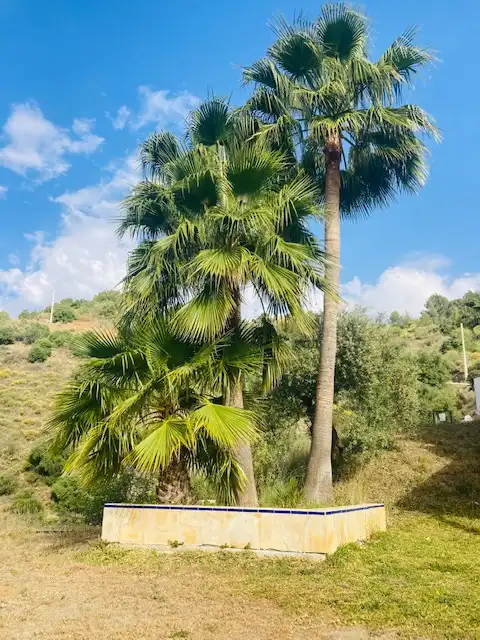 Inmuebles singulares con piscina en venta en Alozaina, imagen 39