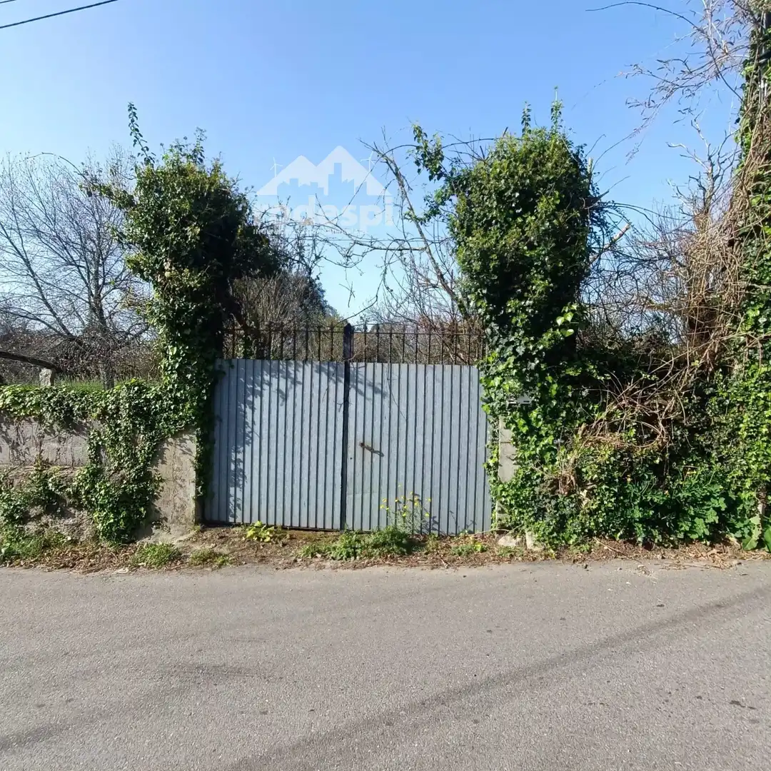 Detached homes for sale in Salvaterra de Miño
