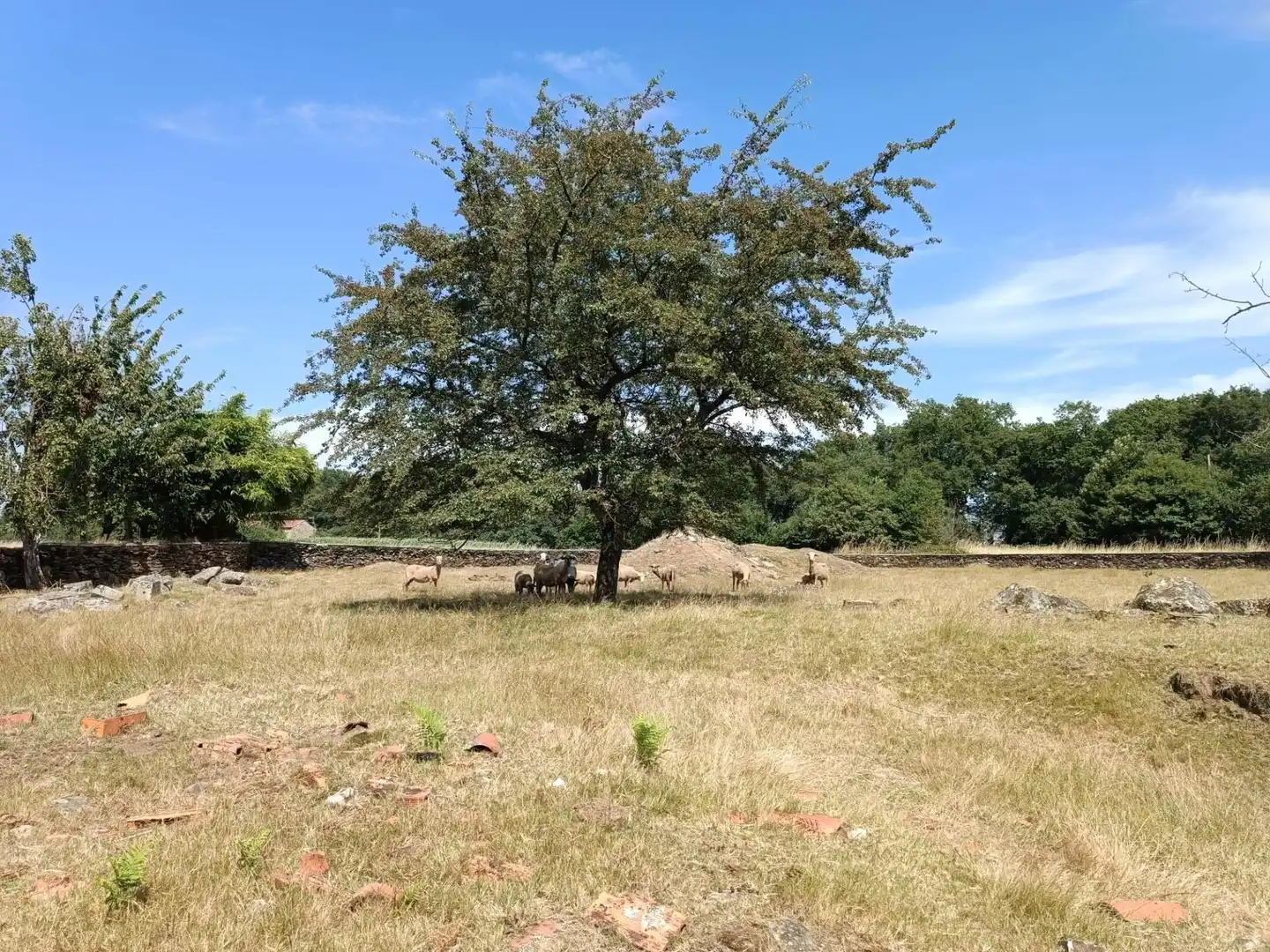 Finca rústica en venda a Lalín, Lalín