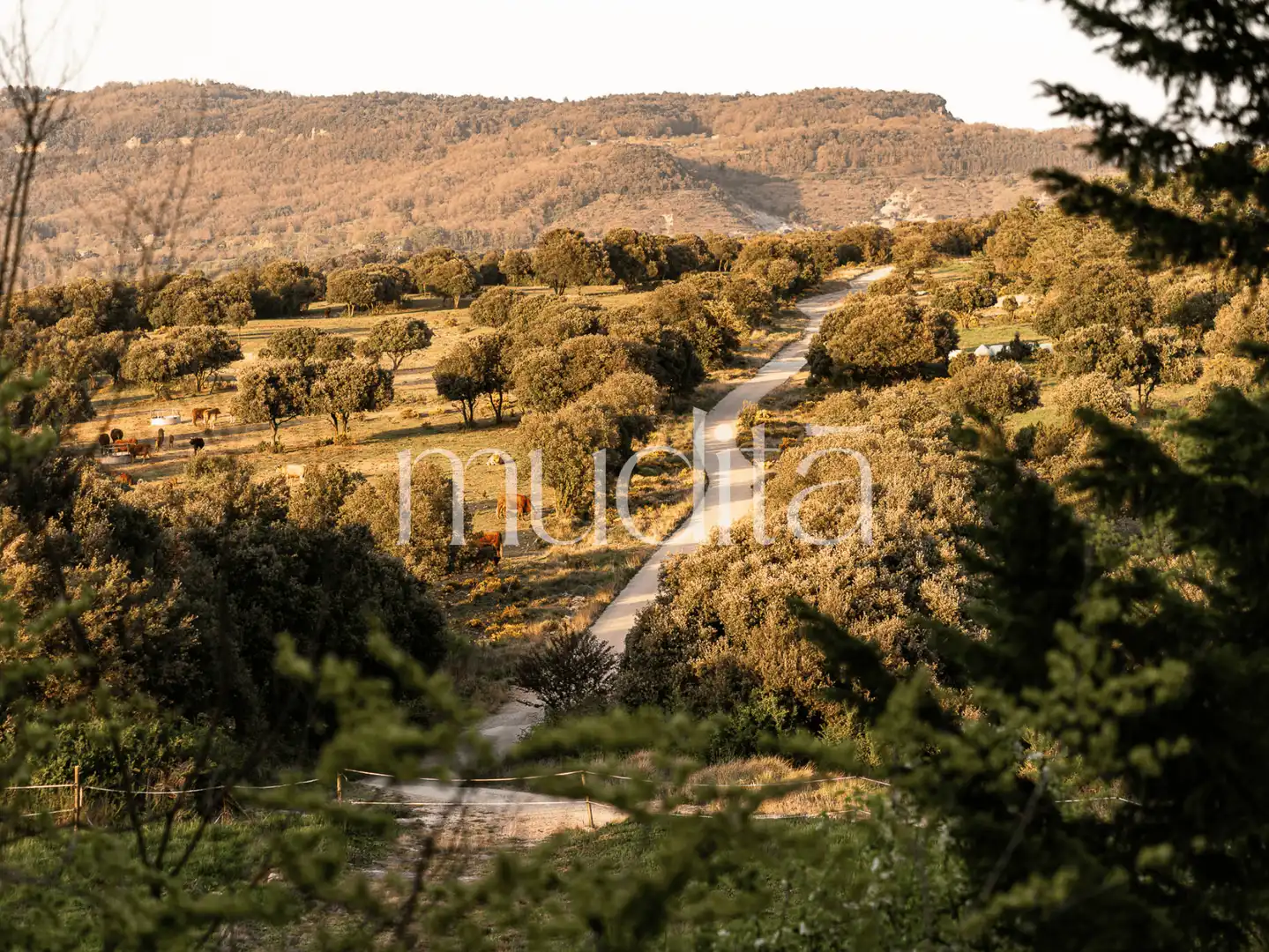 Finca rústica en venda en Tavertet amb Calefacció, Jardí privat i Terrassa