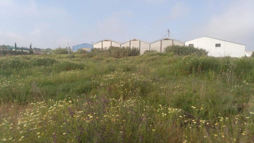 Residential for sale in SECTOR 2, -1, El Coronil