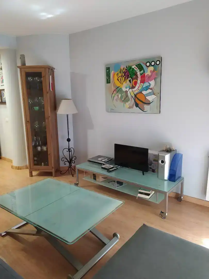 Sala d'estar de Pis en venda en Sant Vicenç Dels Horts amb Aire condicionat i Balcó