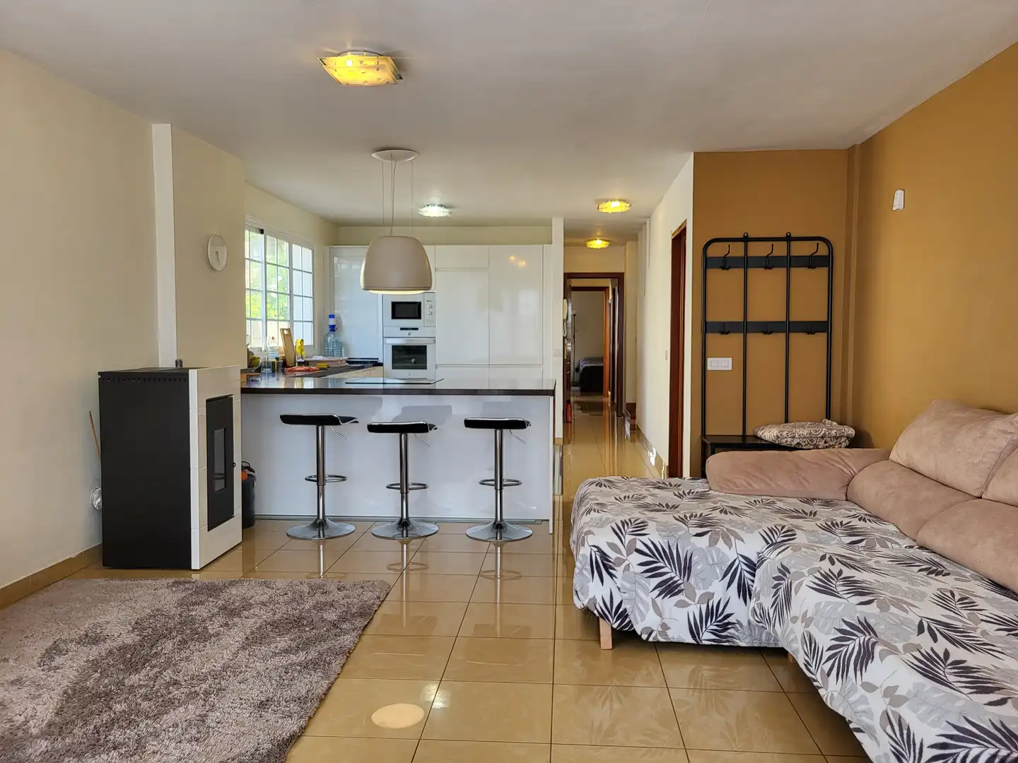 House with terrace for sale in Zona Botánico, imagen 8