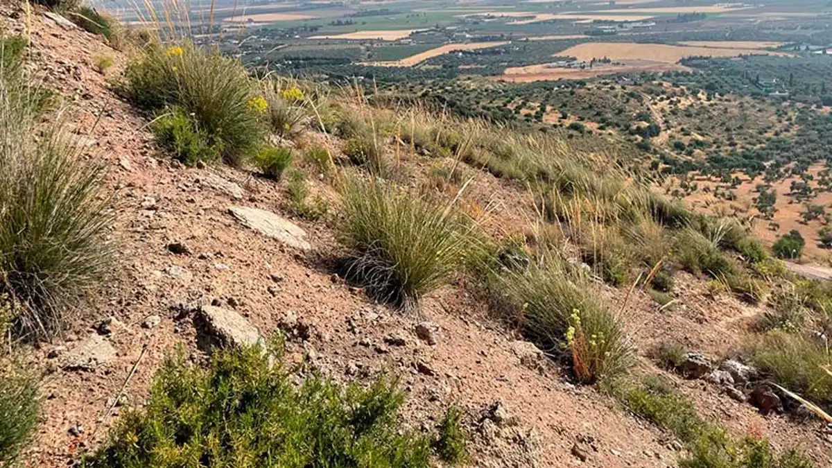 Terrenys i solars en venda a Arrabal Urb Antequera Golf, imagen 5
