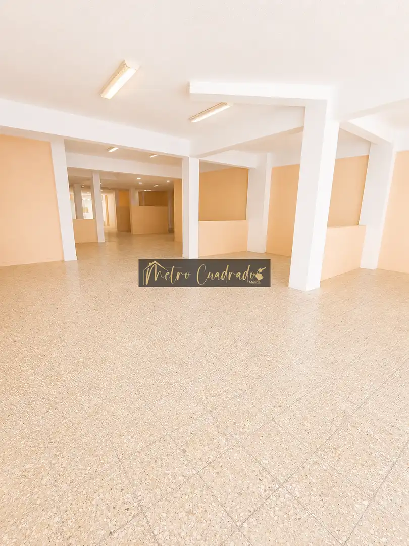 Local comercial en venta en Centro, imagen 6