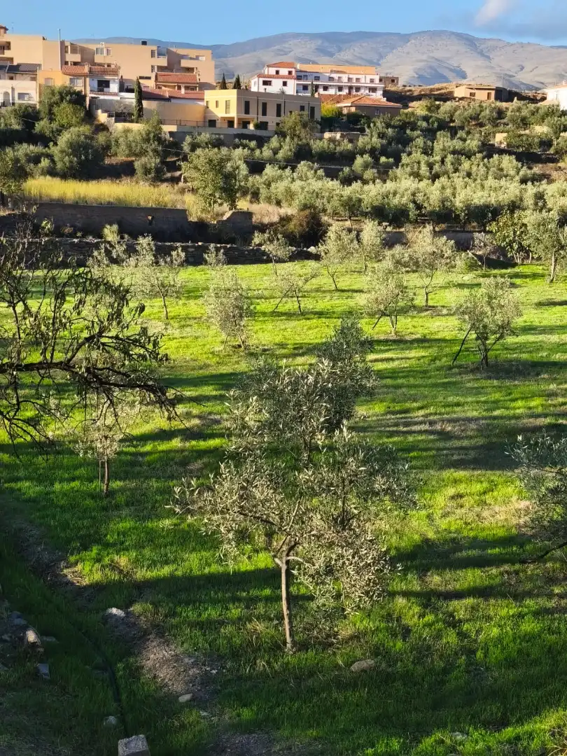 Casa rústica amb terrassa en venda a Abla, imagen 25