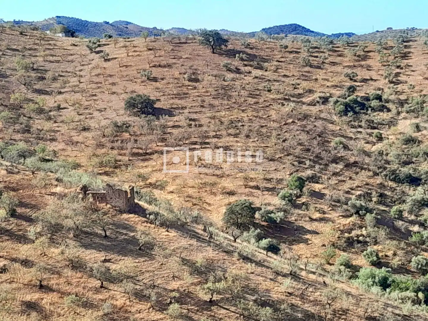 Terreni e lotti in vendita a Polígono 14, imagen 8