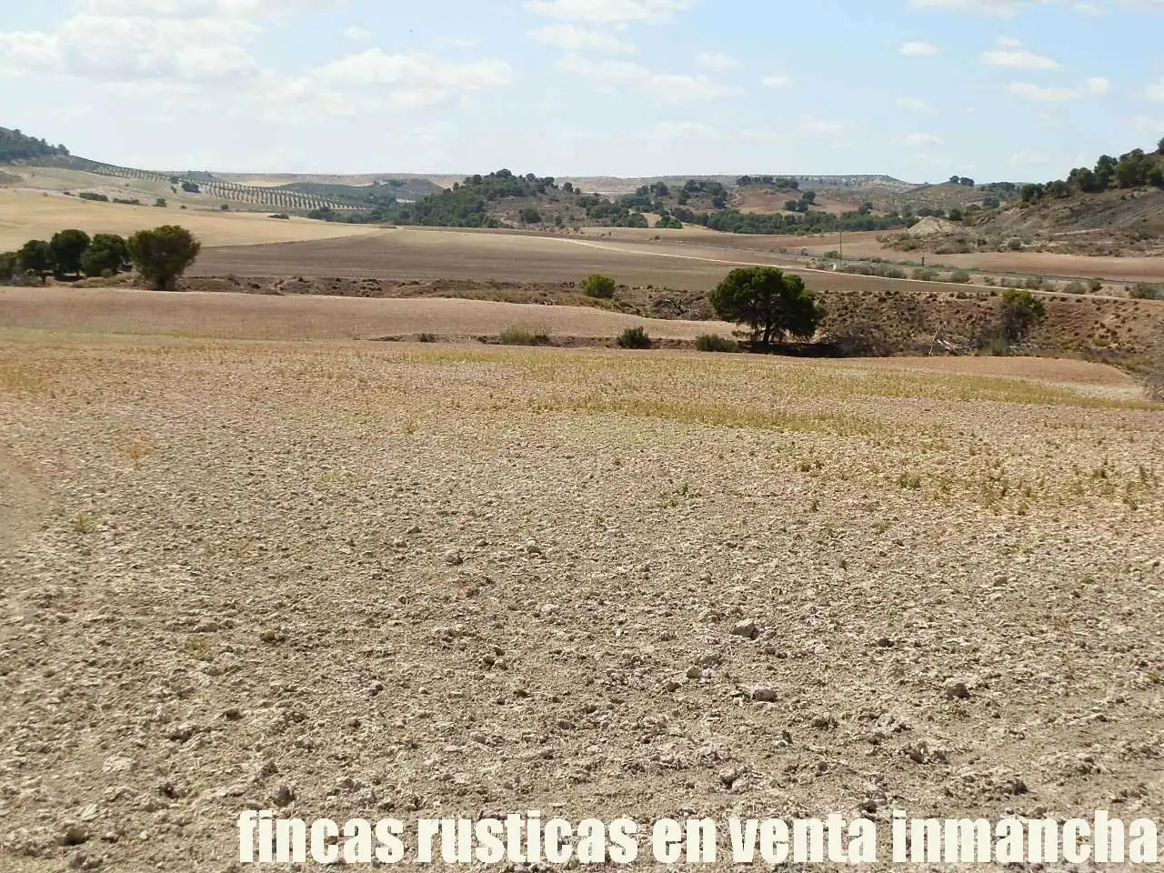 Terreni e lotti in vendita a Cabra del Santo Cristo, imagen 7