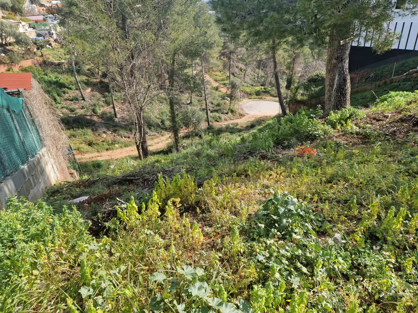 Wohnbaugrundstück zum Verkauf in Carrer del Cactus 27, imagen 3