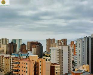 Vista exterior de Apartament en venda en Benidorm amb Balcó