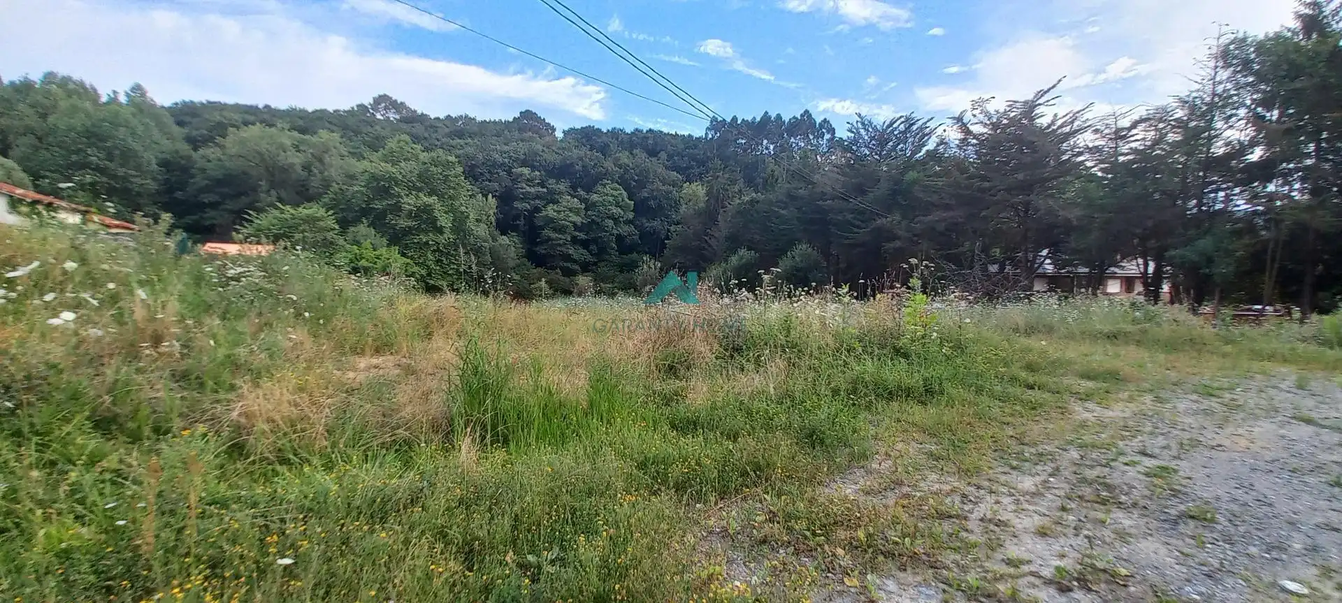 Terrenos y solares en venta en Hazas de Cesto