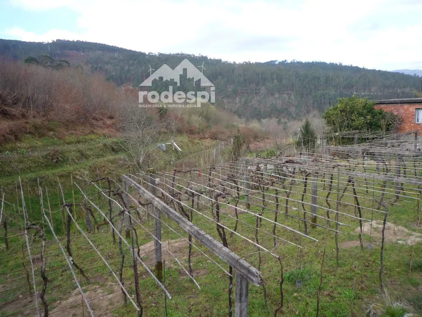 Lands and plots for sale in Mondariz