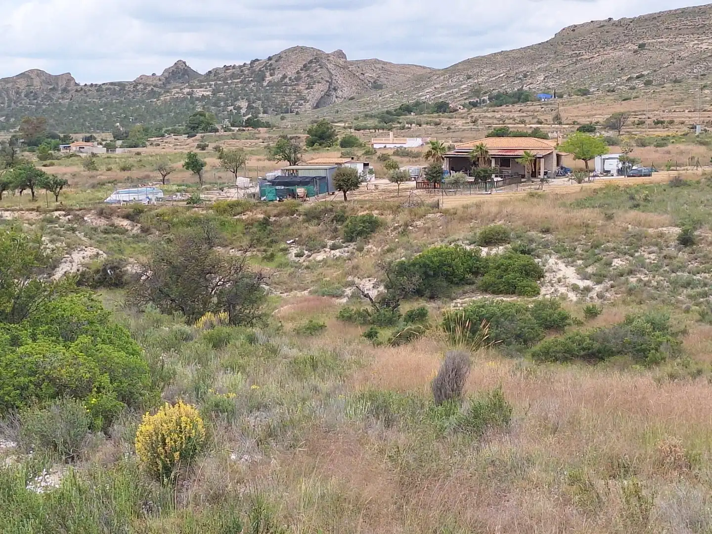Terreny en venda en Alicante / Alacant