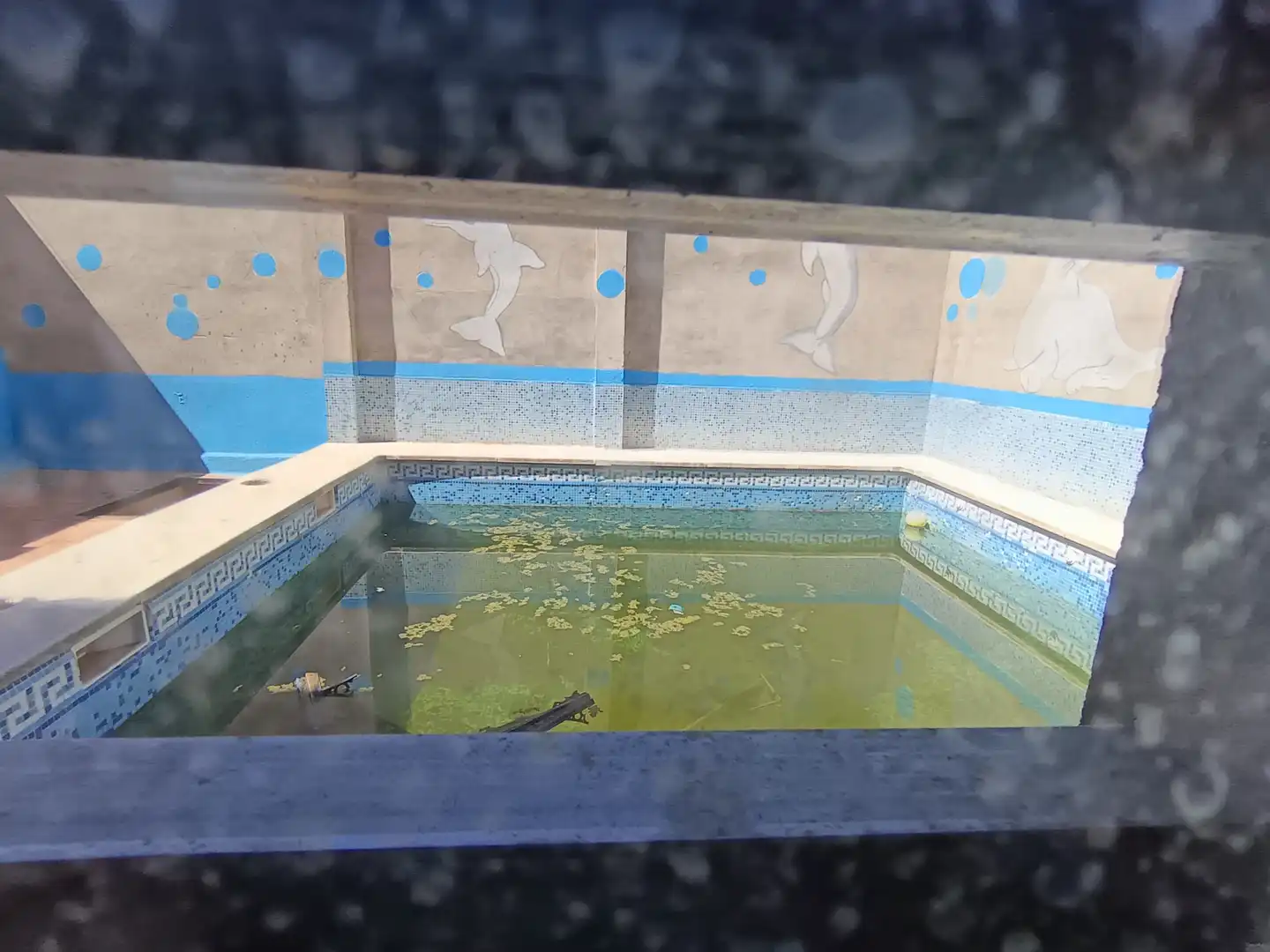 Piscina de Casa o xalet en venda en Daimiel amb Traster, Piscina i Balcó