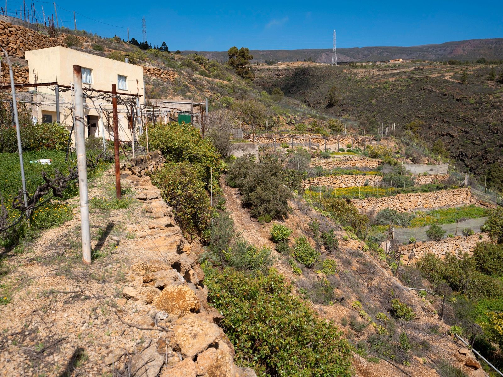 Land for sale in Fasnia