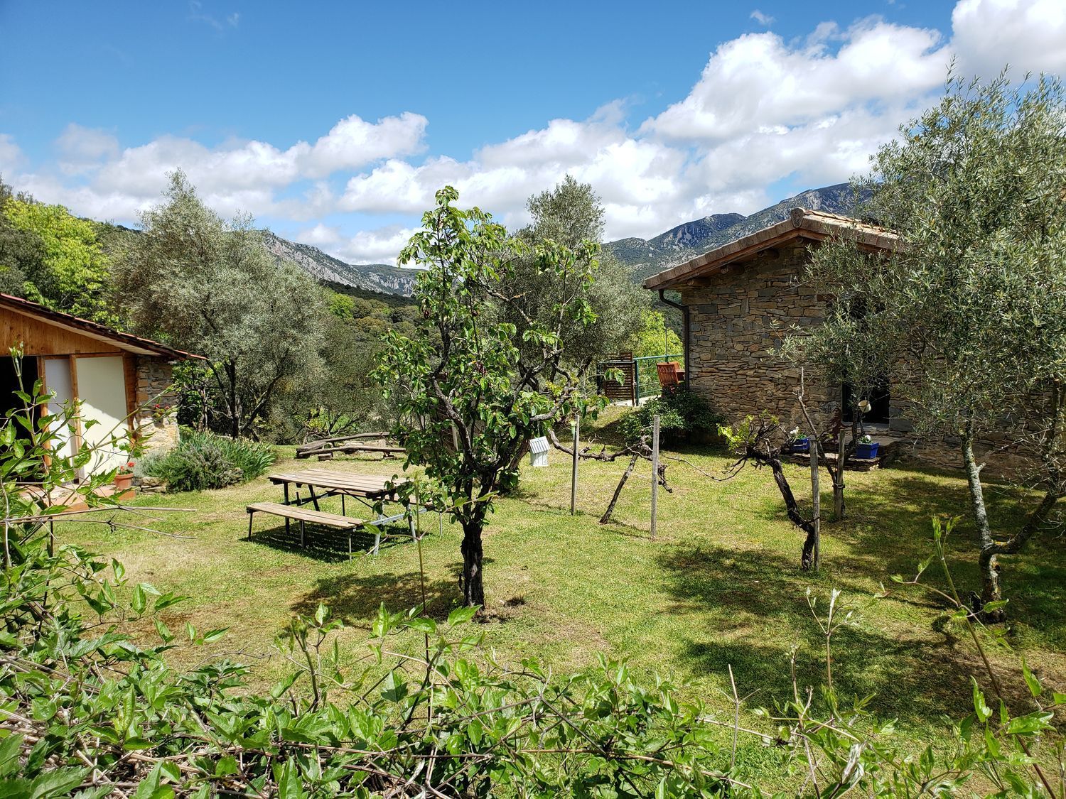 Garden of House or chalet for sale in Bierge  with Heating, Private garden and Storage room