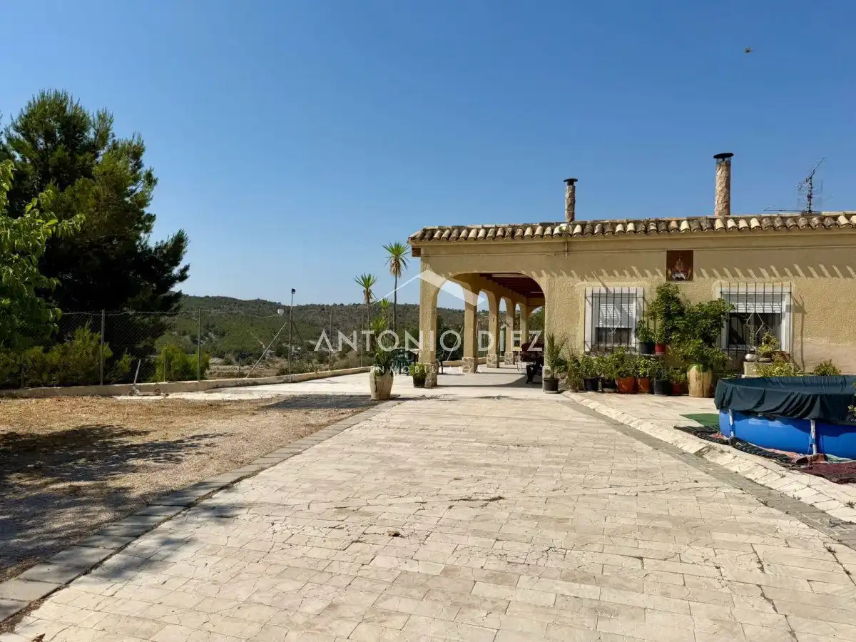 Vista exterior de Casa o xalet en venda en Aspe amb Terrassa