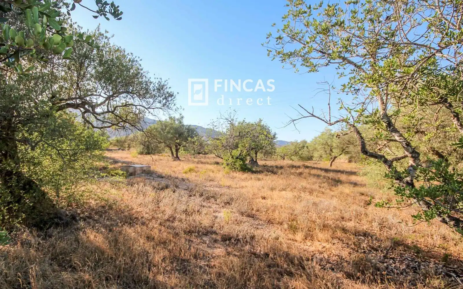 Country homes for sale in Xerta