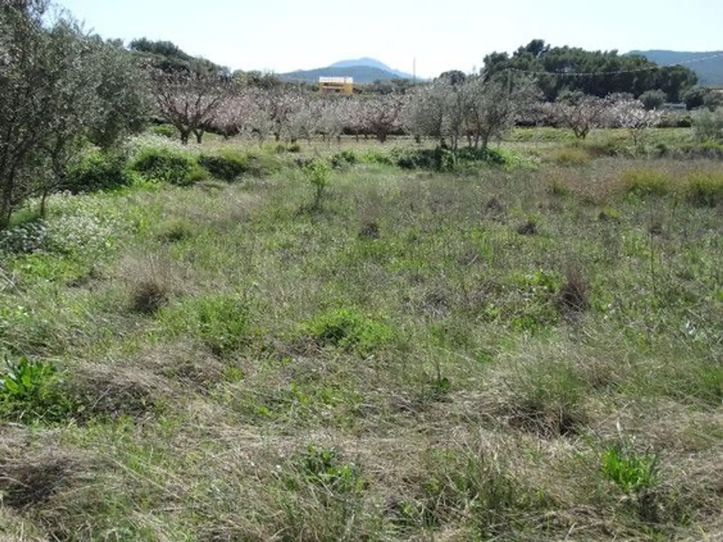 Terreny rústic en venda a Moratalla, imagen 11