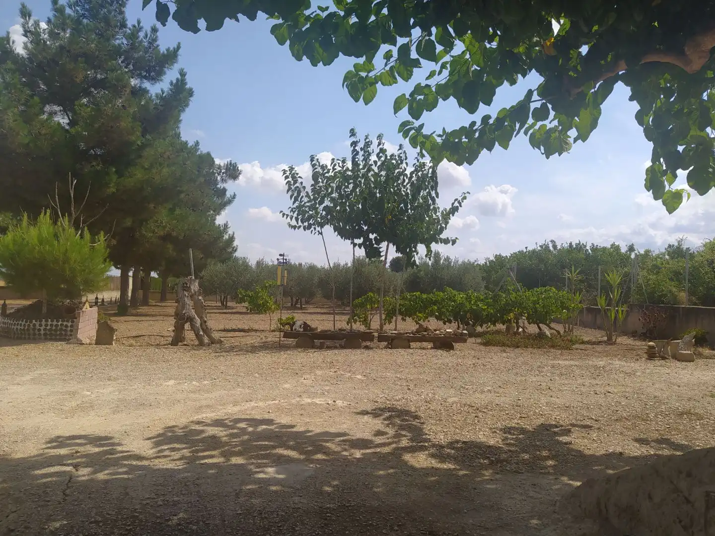 Casa rustica con giardino in vendita a Campa Palacios 1, imagen 16