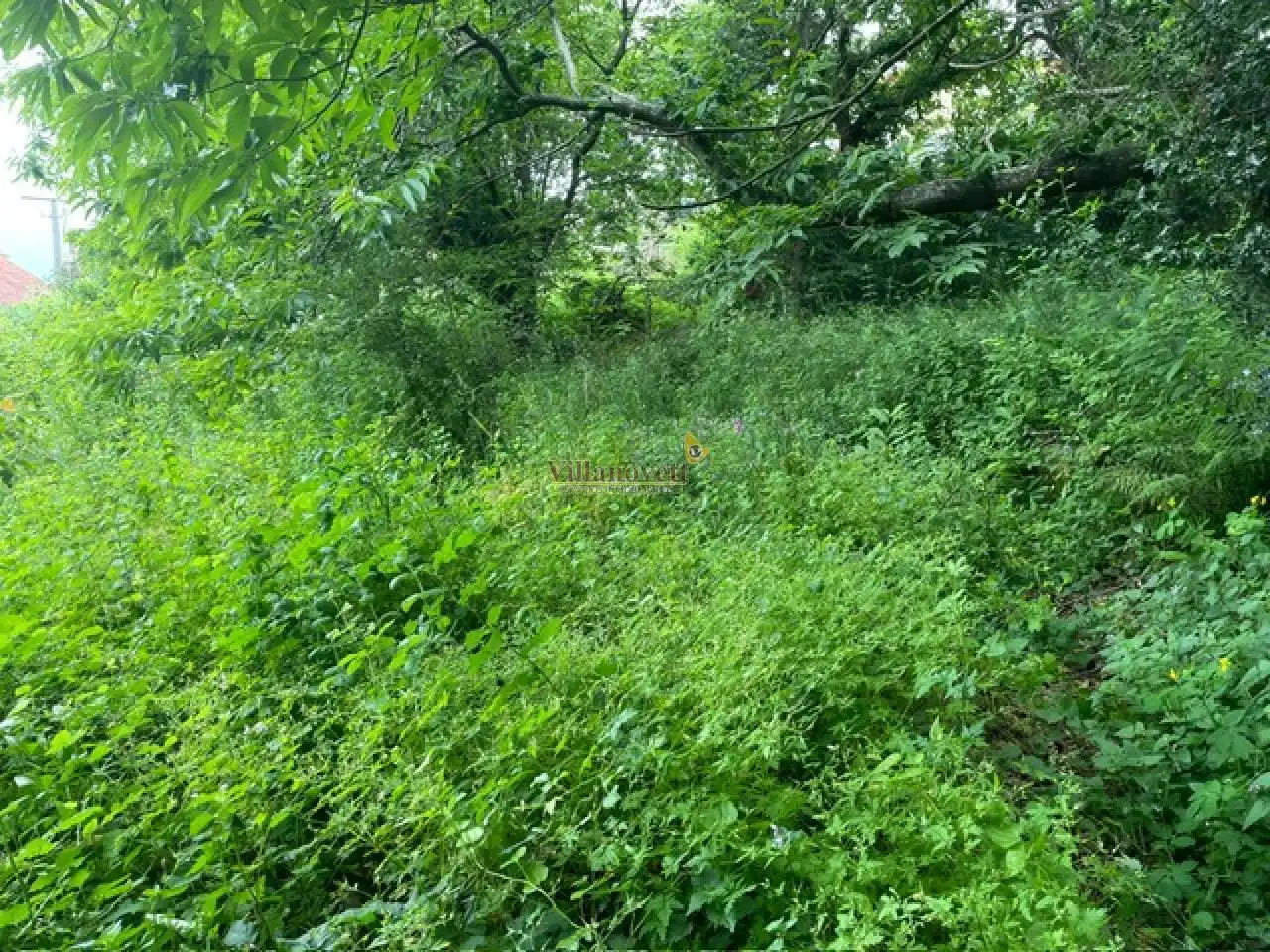 Grundstücke und Bauplätze zum Verkauf in Redondela, imagen 3