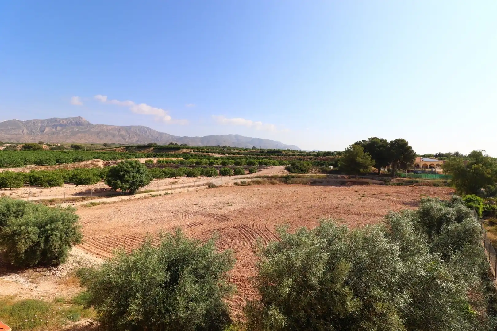 Houses for sale in Albatera  with Community pool