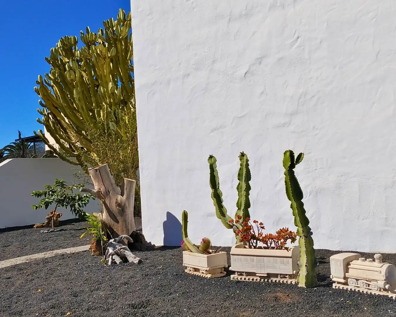 Jardín de Casa o chalet en venta en Teguise con Jardín privado y Piscina