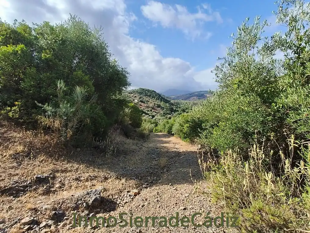 Finca rústica en venda en Algodonales