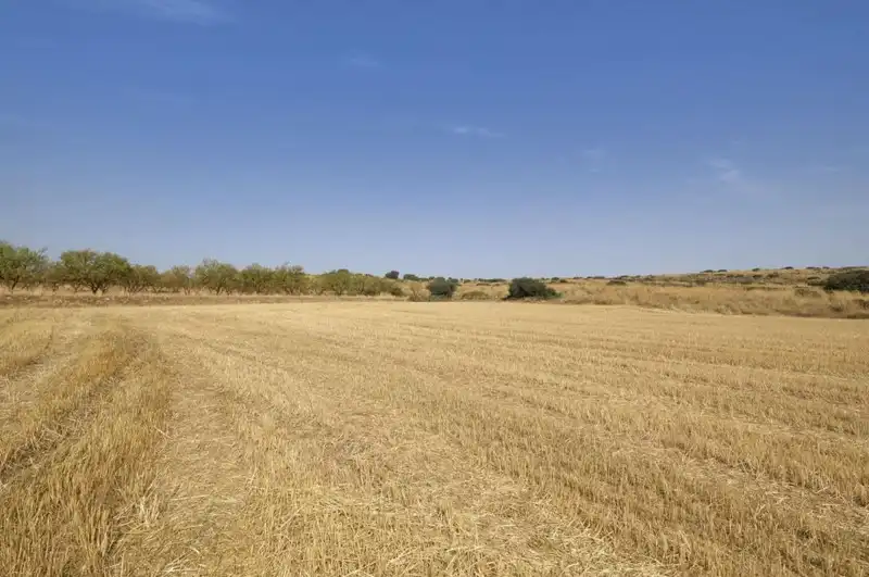 Terreni e lotti in vendita a Padul, imagen 13