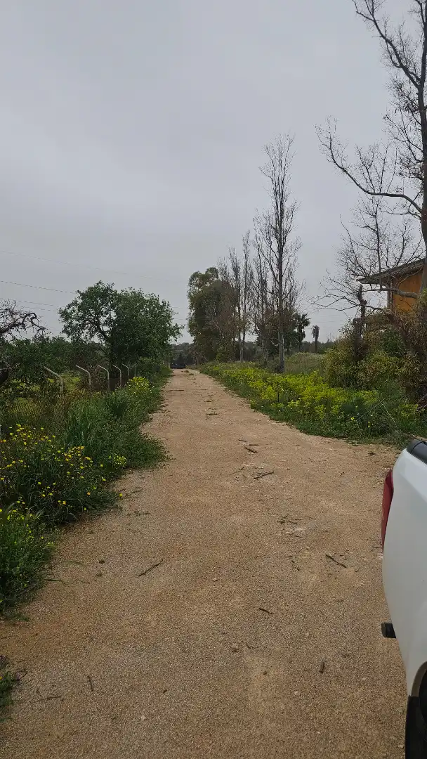 Finca rústica en venta en Marratxí con Aire acondicionado, Calefacción y Jardín privado