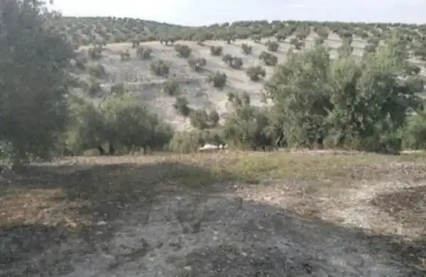 Terreni e lotti in vendita a Valdeastillas - Fuentezuelas