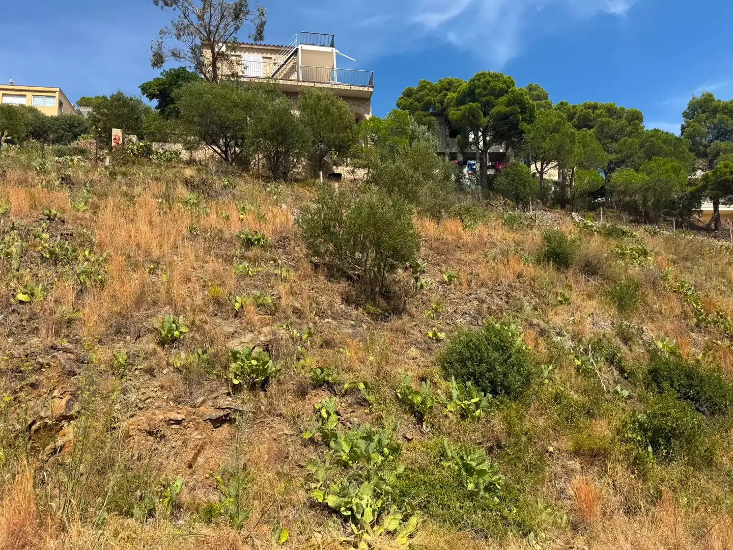 Residential land for sale in Colera, imagen 2