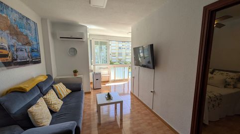 PRECIOSO APARTAMENTO DE 1 DORMITORIO. TORCASOL, image 5