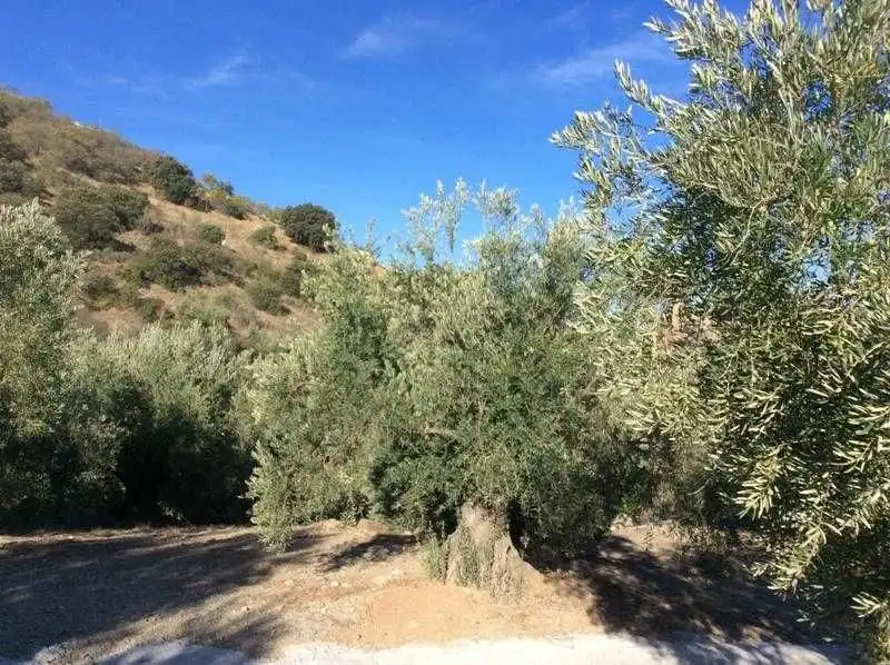 Terreni e lotti in vendita a Castillo de Locubín, imagen 7