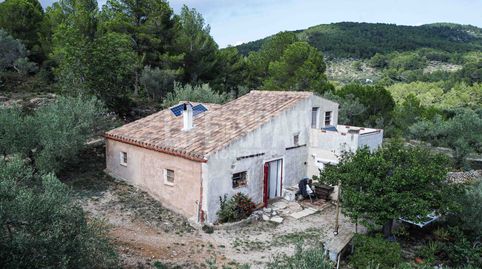 Finca Dorada – Un refugio rural con encanto rústico y potencial para una vida sostenible