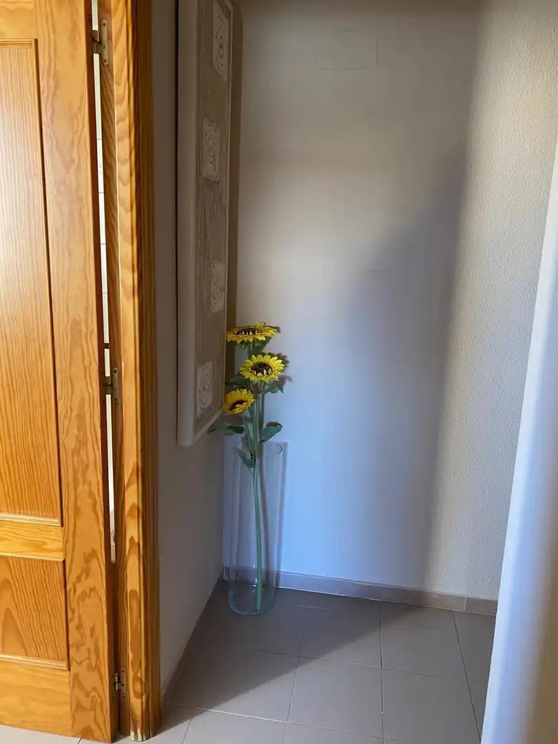 Apartament en venda a Platja de Torres