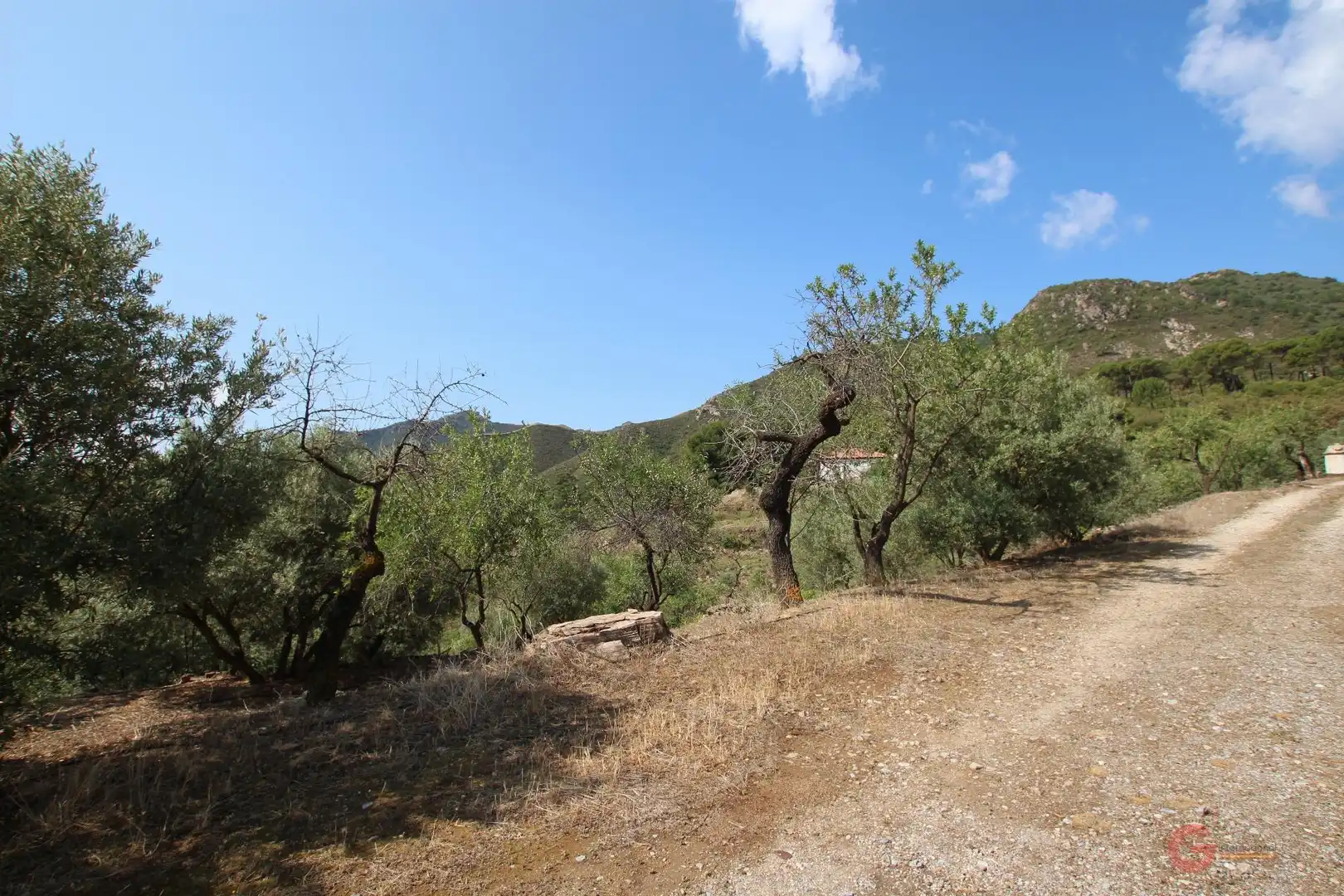 Maison rustique à vendre à Albuñuelas, imagen 15