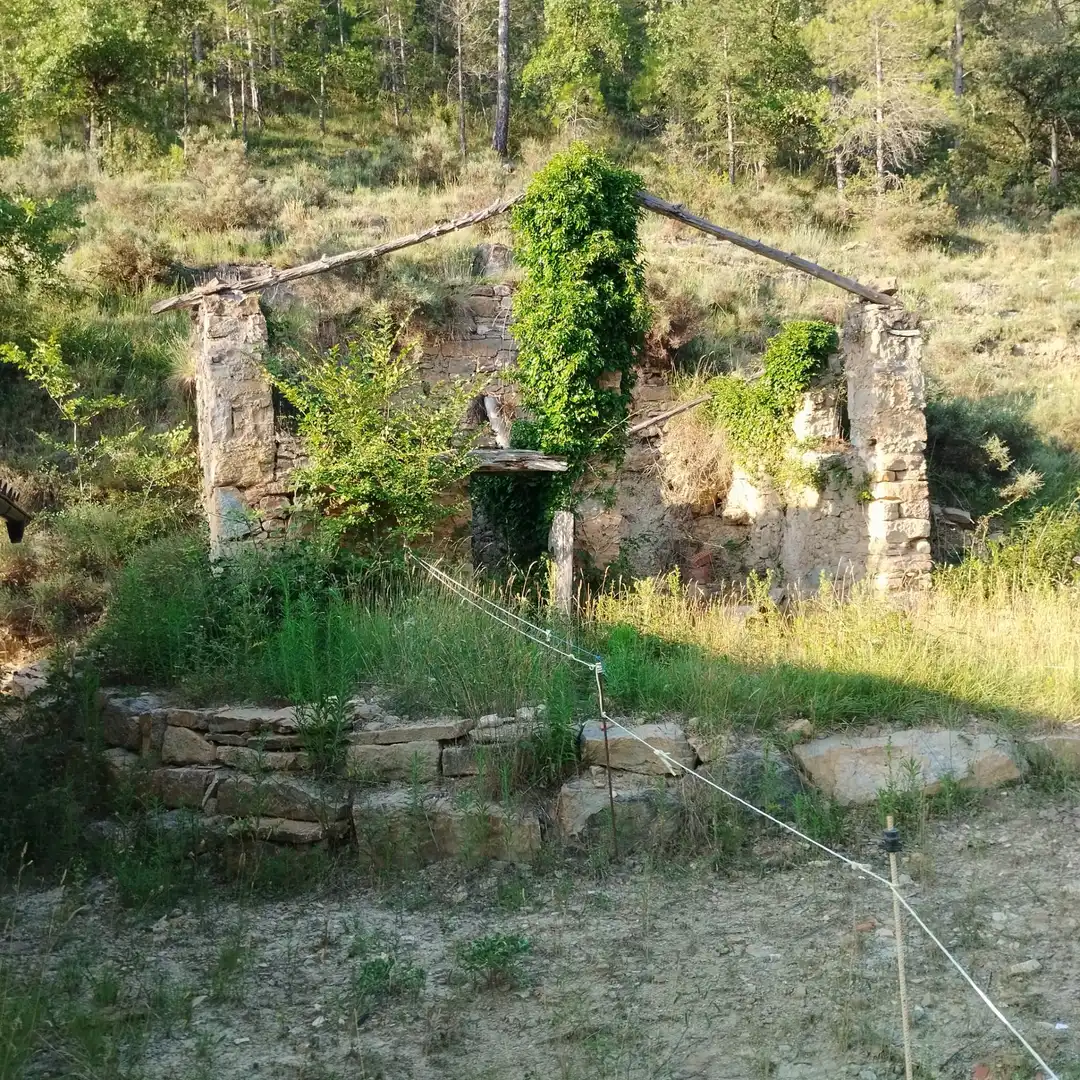 Jardín de Finca rústica en venta en Guixers