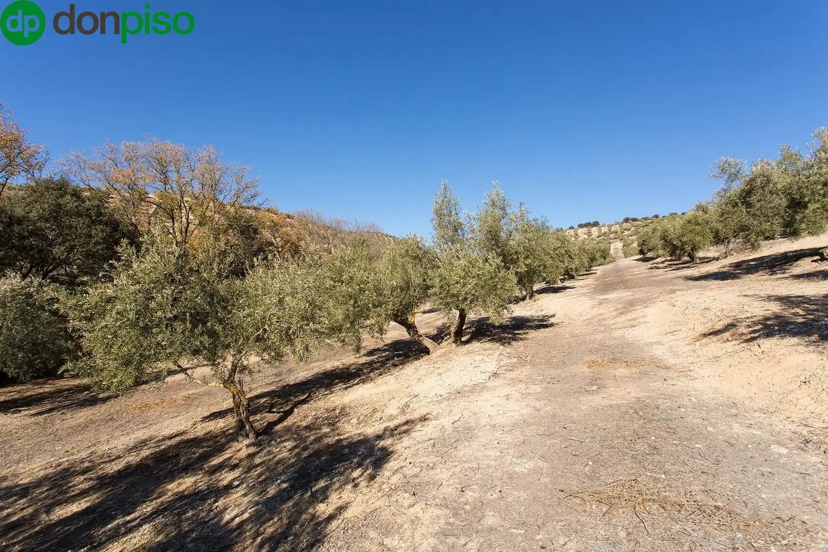 Terreny rústic en venda a Poligono 2 parcela 276 y 409, imagen 14