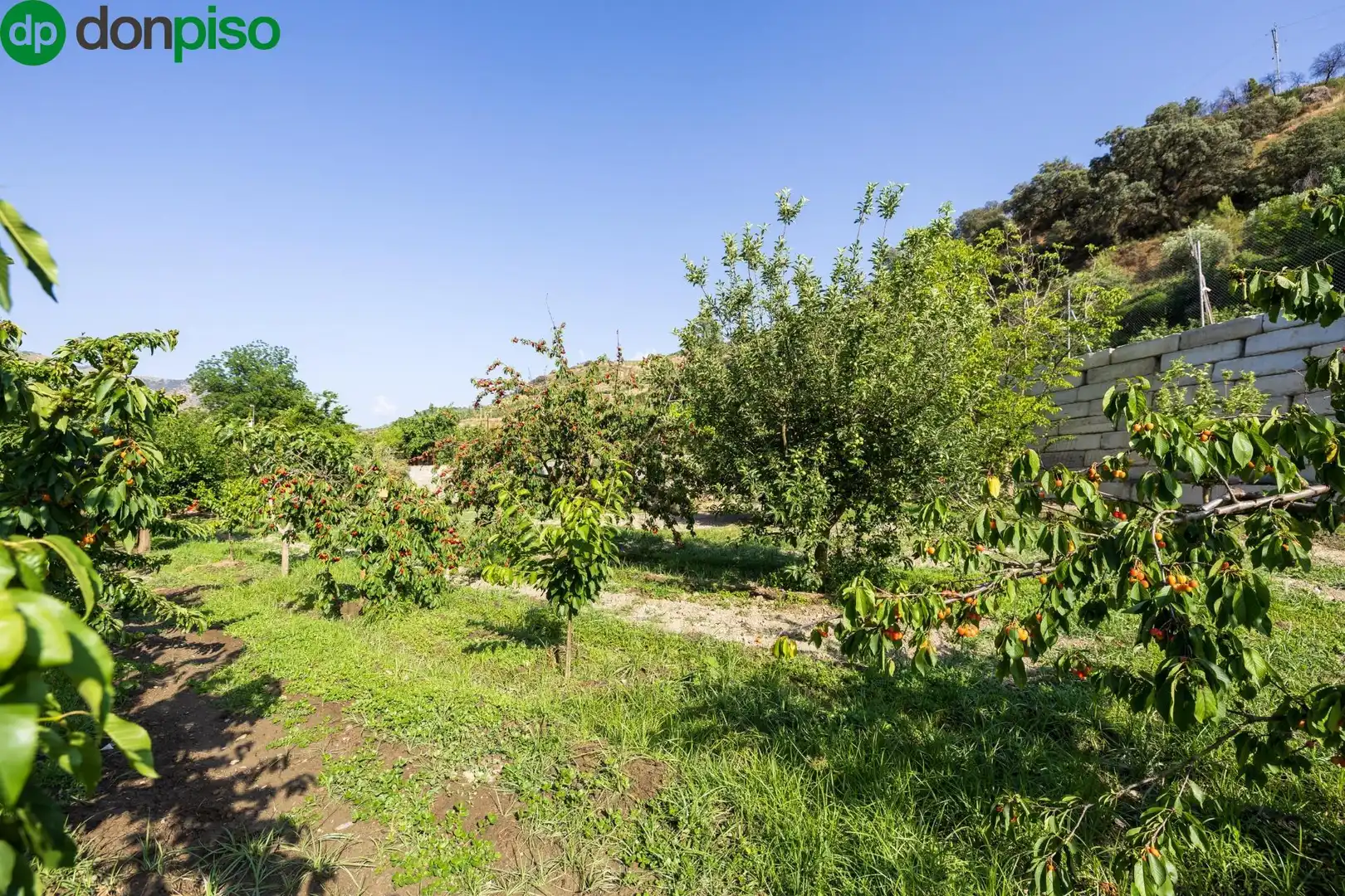 Terreno en venta en Paseo Paseo Duquesa, Pinos Genil