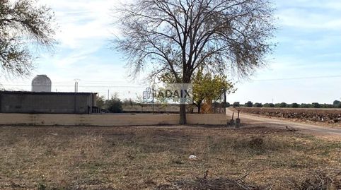 Terreno Urbanizable en Venta en  Socuéllamos, Ciudad Real