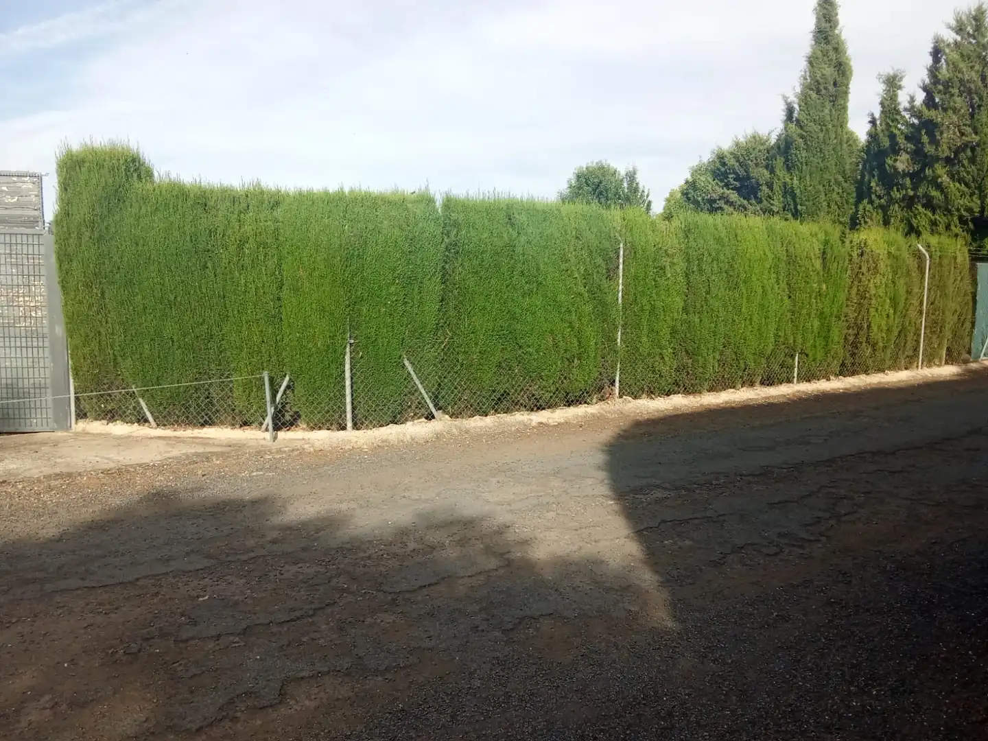Vista exterior de Terreno en venta en Ciudad Real