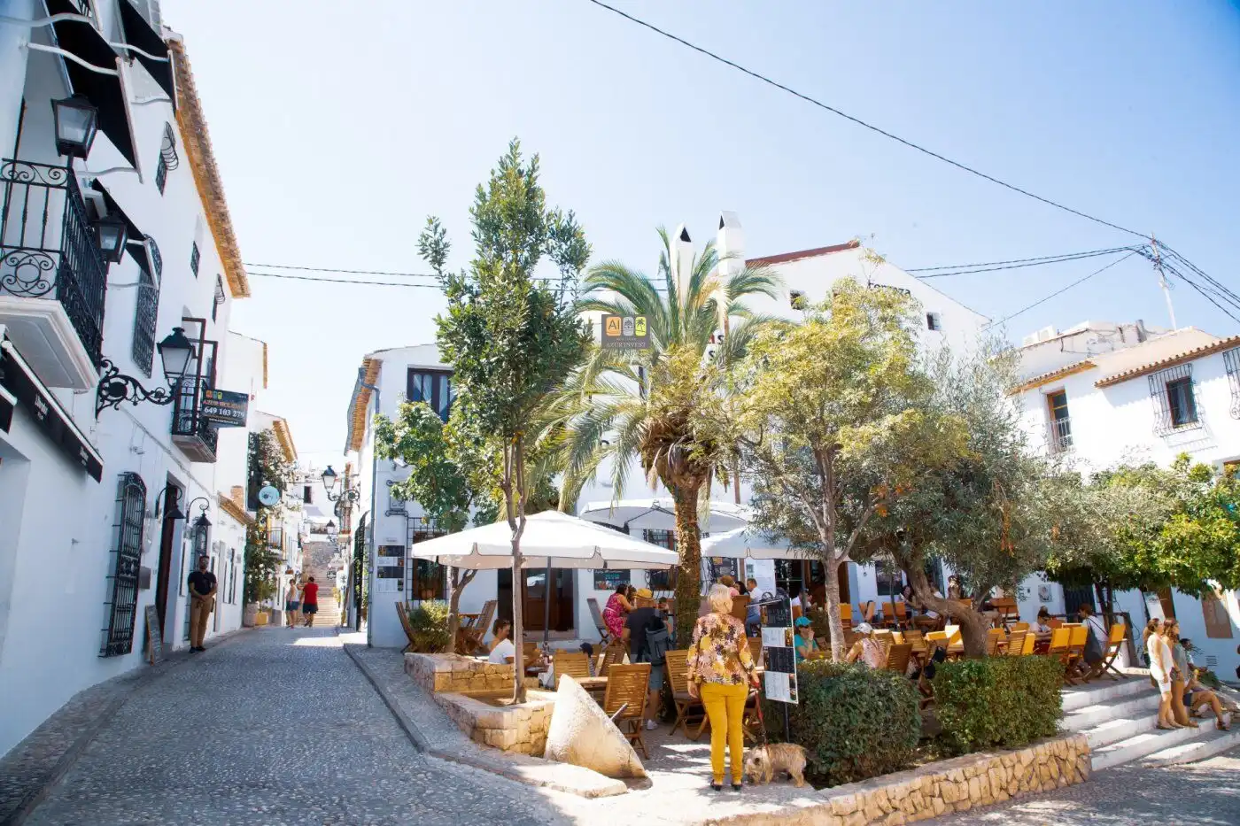 Apartments for rent in Altea ciudad