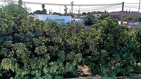 Foto 2 de Casa o xalet en venda a Los Franceses – La Vega, Chiclana de la Frontera
