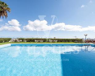 Piscina de Pis de lloguer en Las Palmas de Gran Canaria amb Moblat i Piscina comunitària